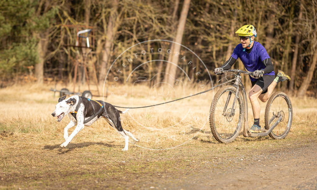 DV3A4695 | Hundefotografie, Tierfotograf, Pfotenfotografie, Fotoshooting Hund, Hunde Portrait, Hundesport, Hundeportraits, Heideshooting, Hunde, Sportfotograf, Hundefotograf, Turnierhundsport, THS,  - Realisiert mit Pictrs.com