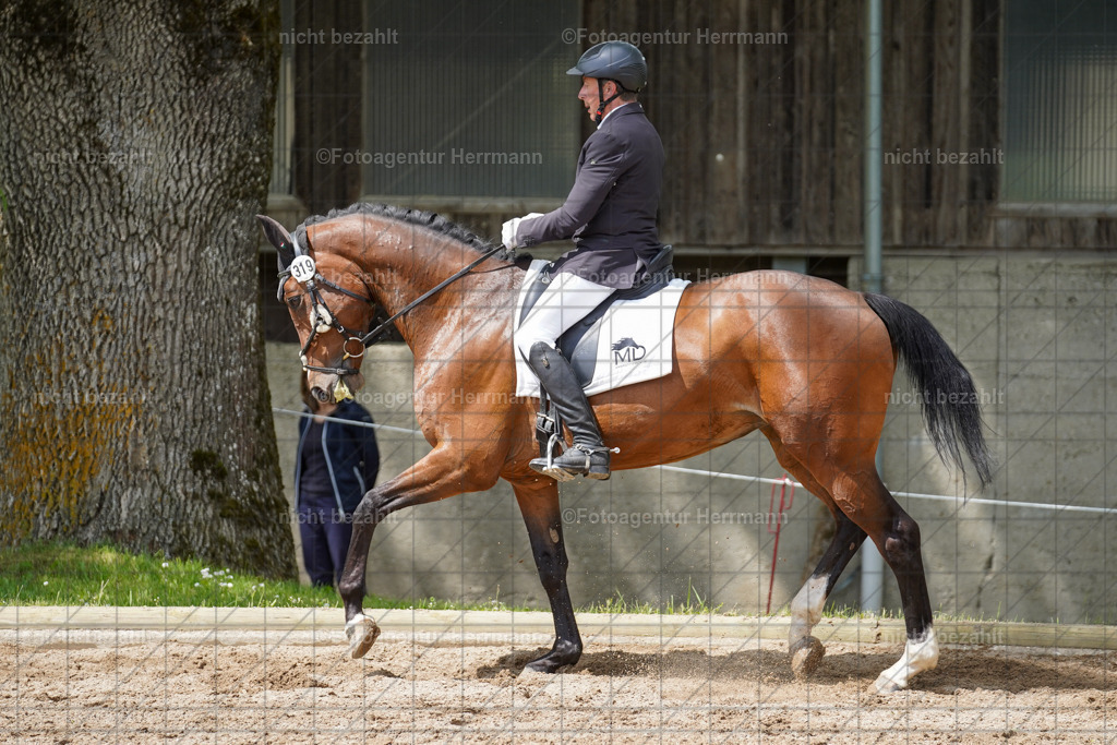 20240519-FAH05202 | Turnierbilder Niederseeon 2024, Vielseitigkeitsdressur, Reitsportbilder aus dem Landkreit Ebersberg, Gut Steinsee, RC Steinsee, Fotoagentur Herrmann