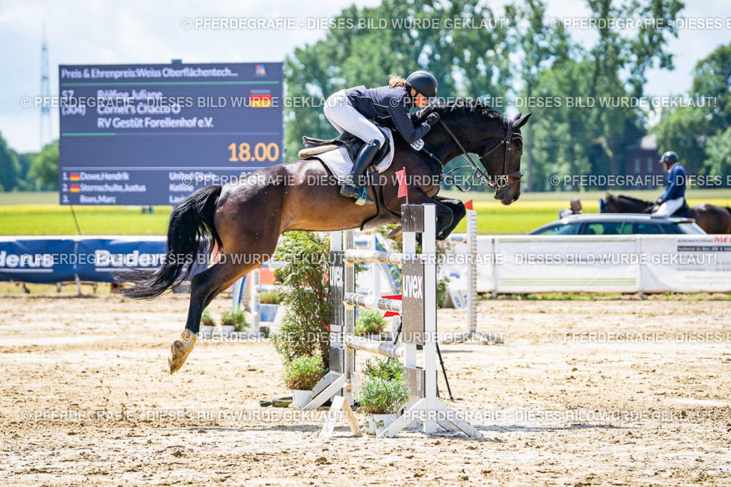 DSC05025 | Pferdegrafie