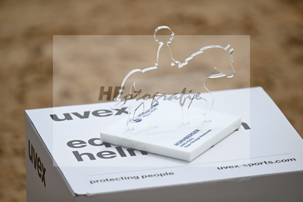 Nuernberger Burg Pokal Fuehrzuegelklasse_11256553 | hf-fotografie - Realizzato con Pictrs.com