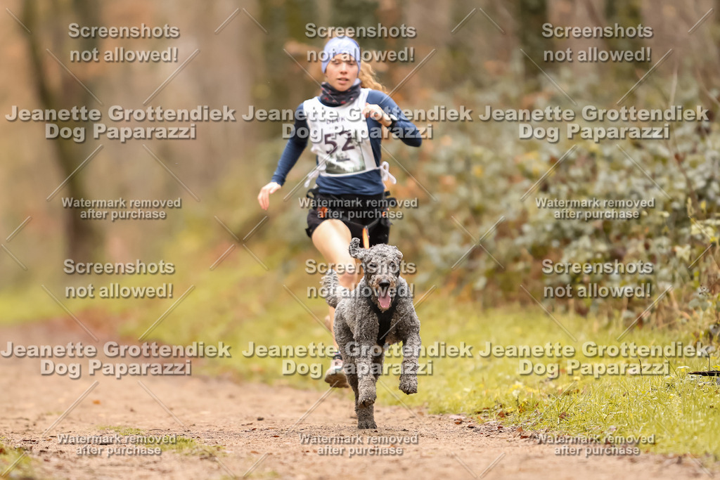 Dog Paparazzi - Speedhunter Mannheim  2025-145 | Dog Paparazzi Jeanette Grottendiek Fotografie & Videografie