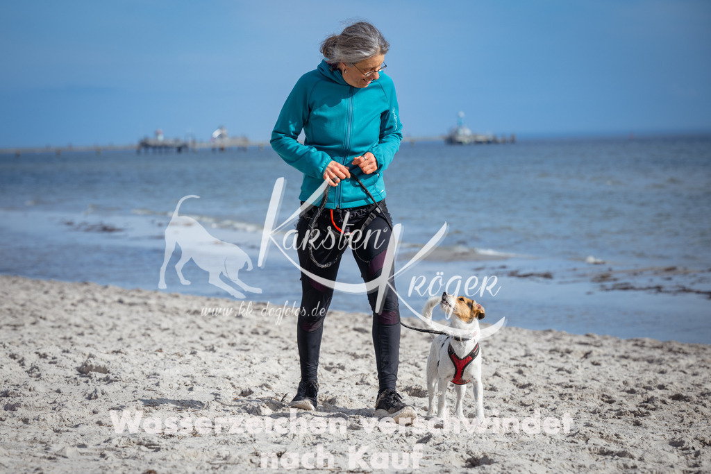 1305_ZZ90261 | kk-dogfotos