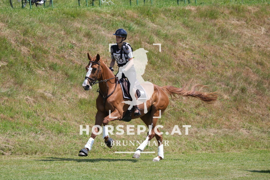 0P6A8218 | Willkommen bei Brunnmayr - Design & Fotografie – Ihrem Spezialisten für Reitturniere und Pferdeveranstaltungen in Oberösterreich, Salzburg und Bayern! Seit über 17 Jahren sind wir leidenschaftlich dabei.