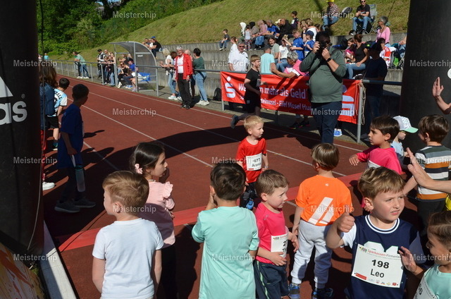 17-10-04_ | Meisterchip Fotoshop - Realisiert mit Pictrs.com