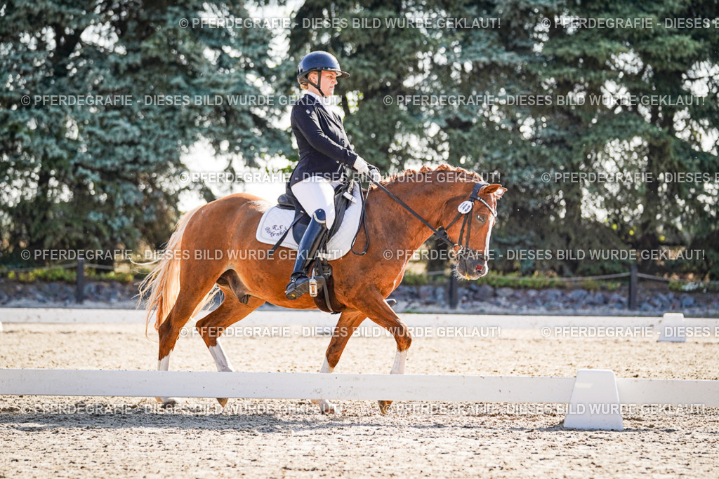 DSC09956 | Pferdegrafie