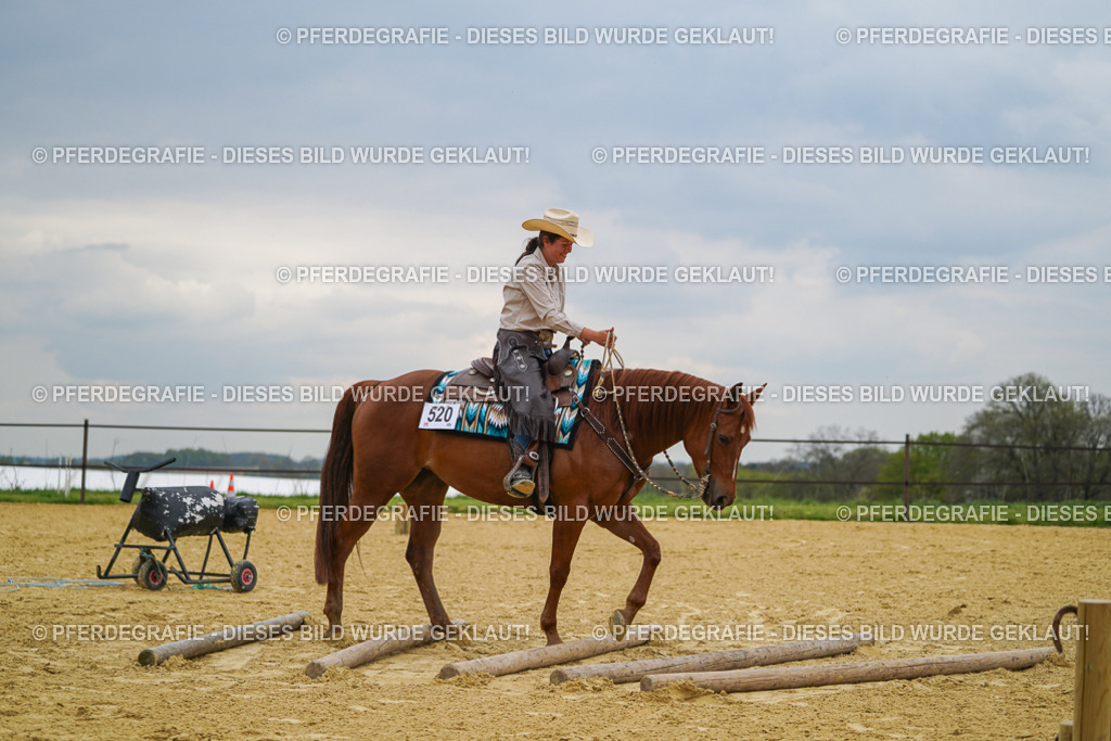 DSC07286 | Pferdegrafie