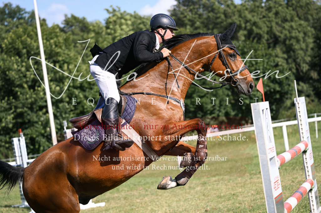 DSC_1501 | Pferde- und Turnierfotografie in Westsachsen. Pferdeportraits, Auftragszeichnungen und intuitive Kunst.