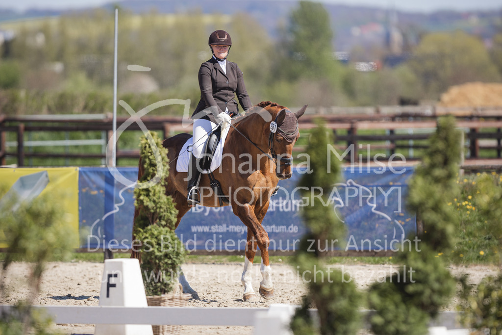 220418_L-Dressur-222 | Frühlingsfest der Pferde
Herford
18.April 2022
Dressurprfg. Kl.L* - Tr. L2ausw. geschlossen