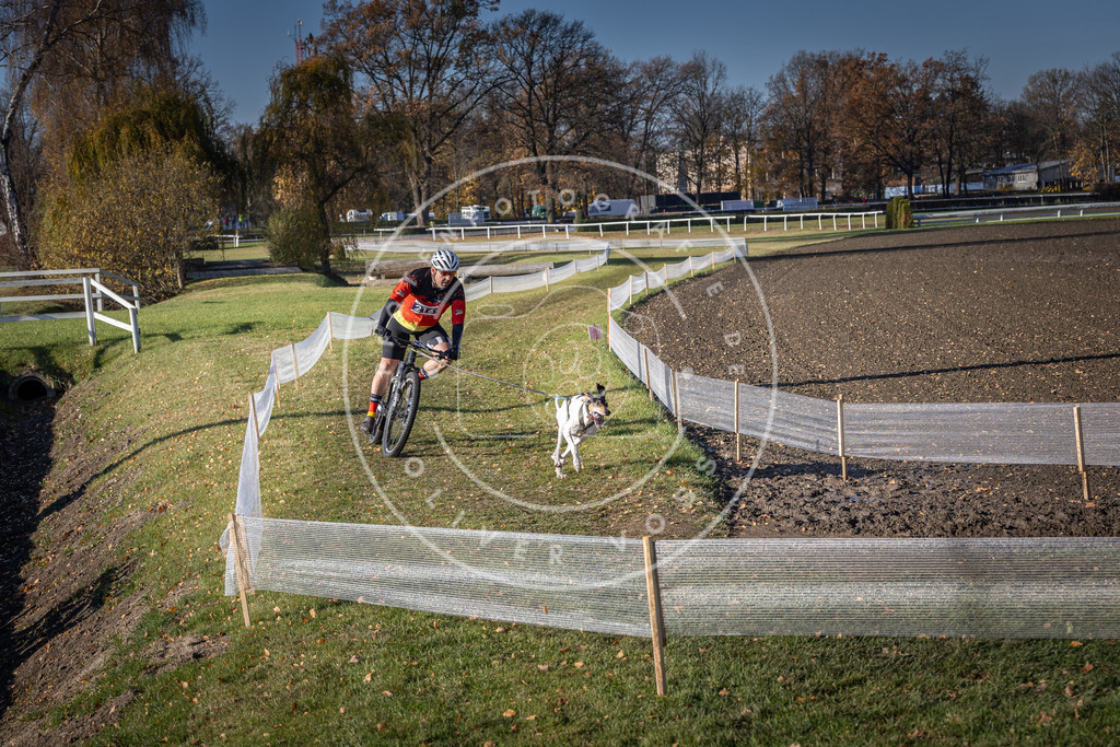 CaniXpix_DV3A3297 | Hundefotografie, Tierfotograf, Pfotenfotografie, Fotoshooting Hund, Hunde Portrait, Hundesport, Hundeportraits, Heideshooting, Hunde, Sportfotograf, Hundefotograf, Turnierhundsport, THS,  - Realisiert mit Pictrs.com