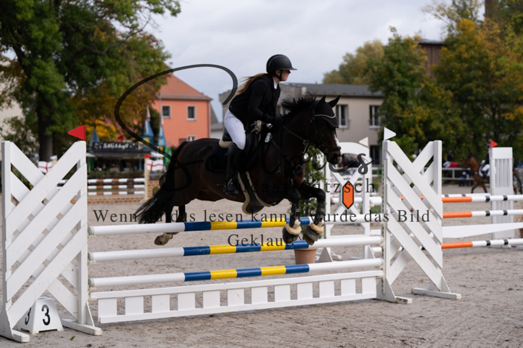 A7V00392 | Pferdefotograf