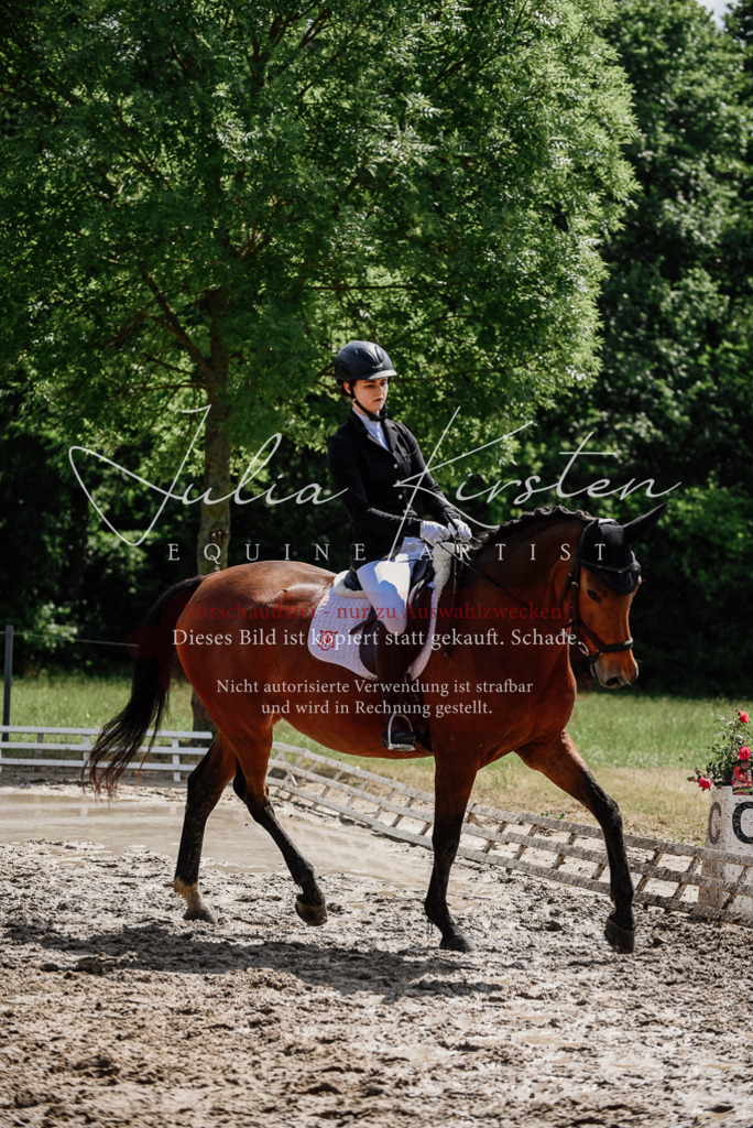 DSC_0969 | Pferde- und Turnierfotografie in Westsachsen. Pferdeportraits, Auftragszeichnungen und intuitive Kunst.