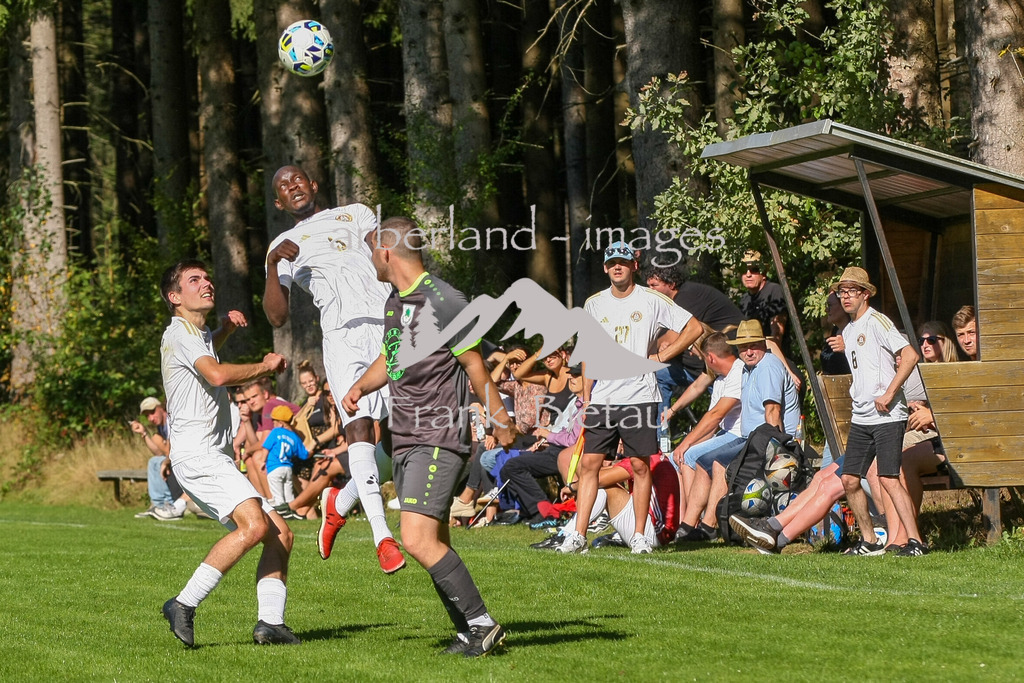 993T2651 | Medien- Sport- Entertainmentfotos