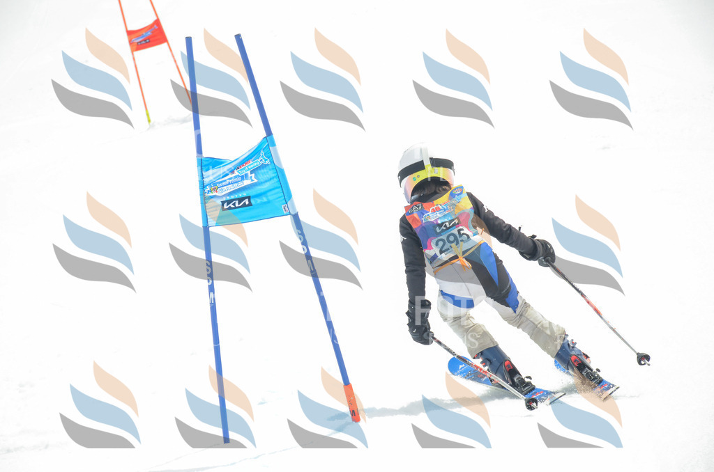 _ELE8171 | holidayphoto