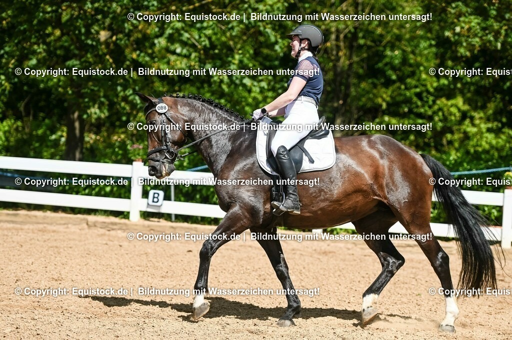 20230715_02_Dressurreiterprüfung Kl.L_0120 | equistock