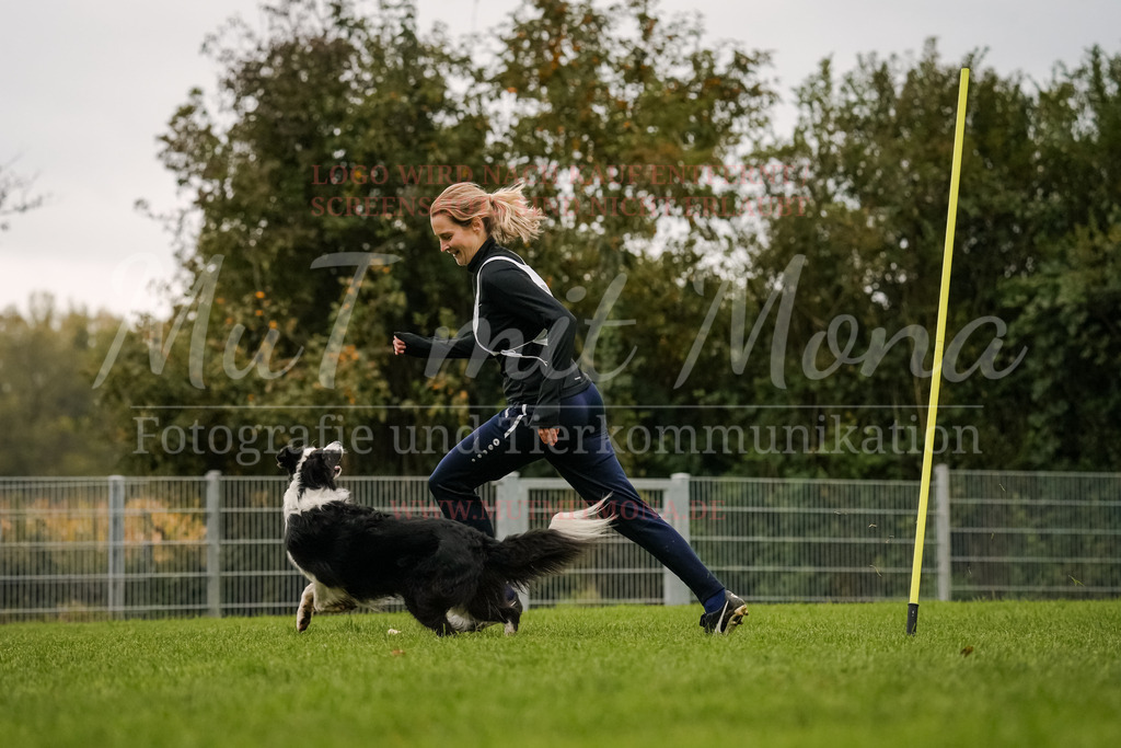 20251005_THS_Turnier-403 | MuT (Mensch und Tier) mit Mona - Fotografie und Tierkommunikation - Realisiert mit Pictrs.com