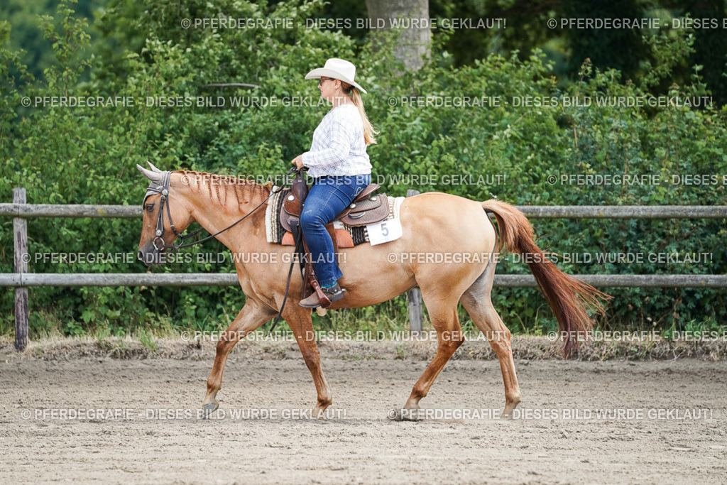 DSC05950 | Pferdegrafie