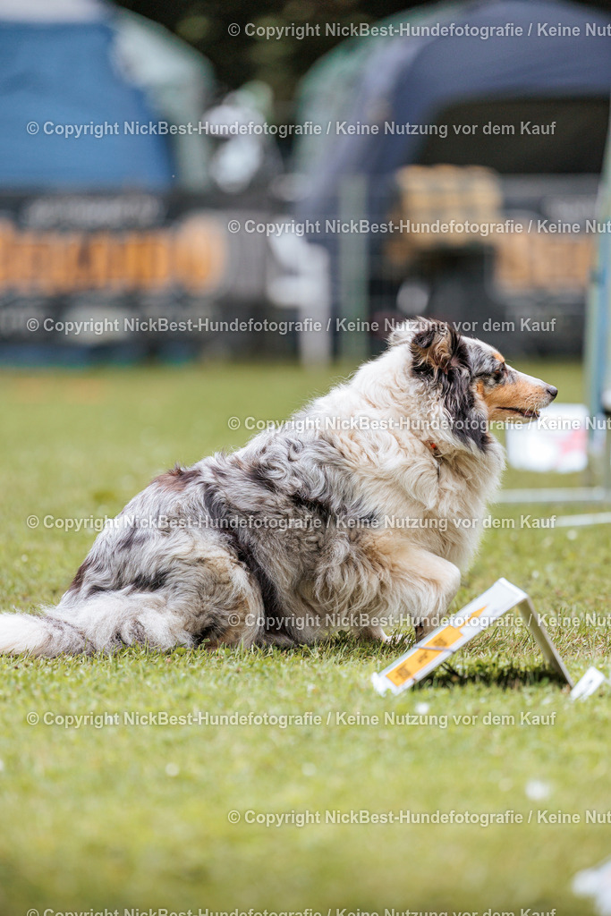 RO-Blumenthal-2026-Nickbest-Hundefotografie-2908 | Dein Hund! Dein Moment! Deine Erinnerungen! Hundefotografie in Bremen Blumenthal. Ich fange die besonderen Momente deines Vierbeiners ein – ob Indoor mit Blitzanlage oder in der freien Natur. Sicher dir dein Moment und dein Termin für eure Erinnerungen.