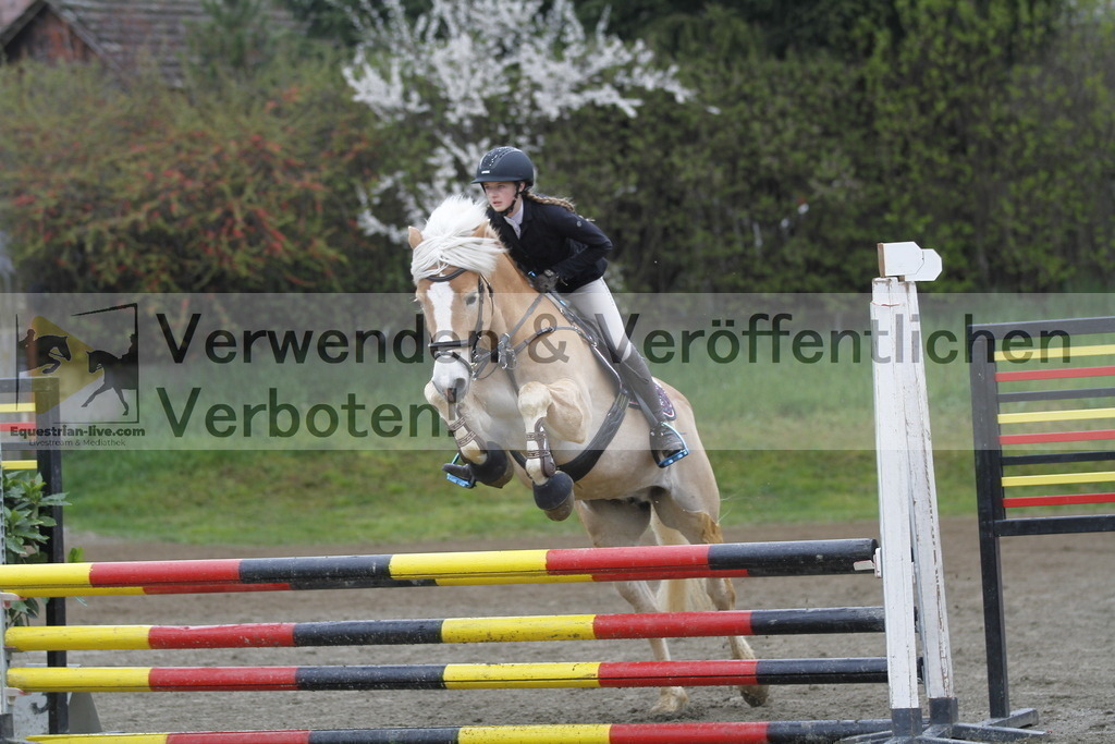 _MG_4392 | equestrian-live-com