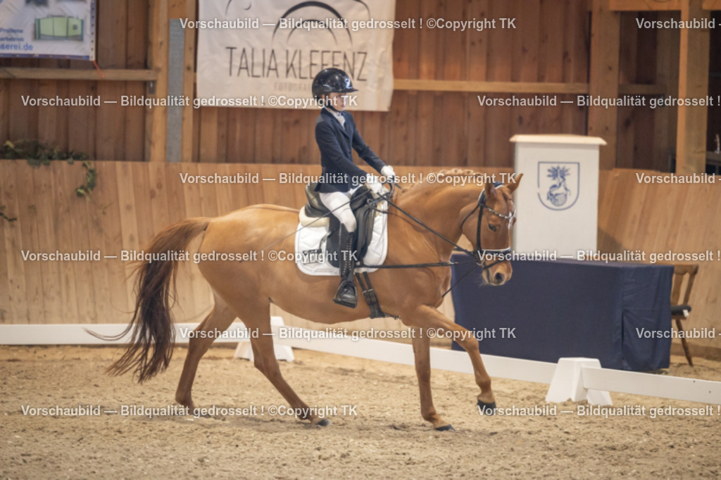 _D5A2238 | Emotionale Pferde- & People-Fotografie rund um Heidelberg, Leimen & Umgebung. Natürliche Fotos von Pferd, Mensch & Familie. Jetzt Termin sichern!