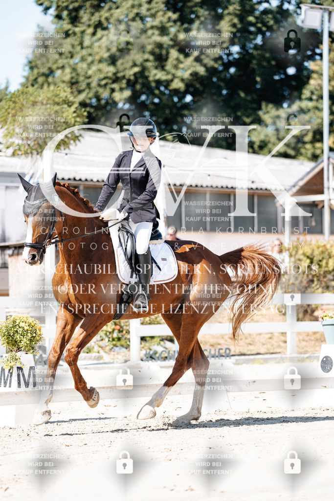 CK908938 | Turnierfotografie Pferdefotografie Trier Rheinland-Pfalz Pferdesport Reitsport Tierfotografie Sportfotografie Pferdevideo Pferdevideografie Equestrianvideography equestrianphotography  - Realisiert mit Pictrs.com