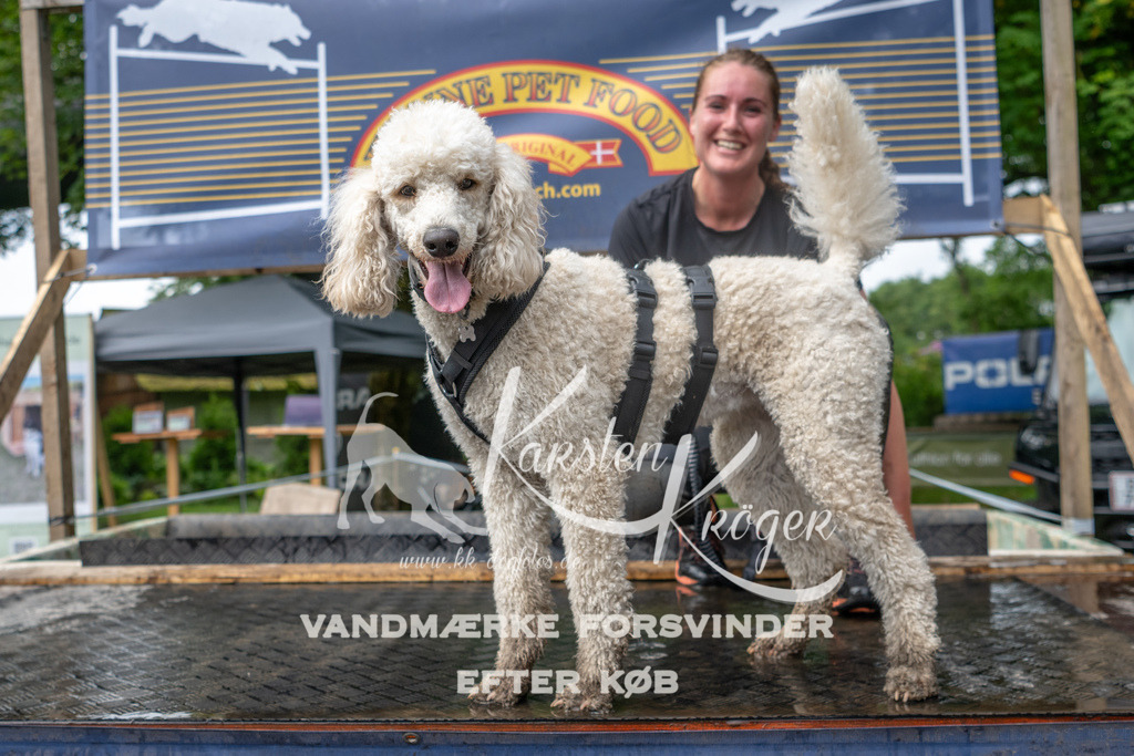 1005_ZZ93949 | kk-dogfotos