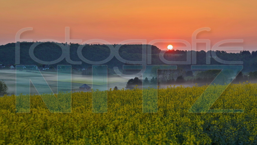 2022-05-09 06-03-24_5D422121 | Nitz Fotografie aus Montabaur bietet Ihnen hier die Möglichkeit Bilder auszusuchen und zu bestellen. 
