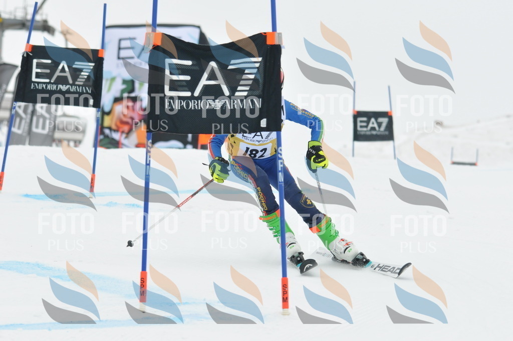 DSC_8680 | holidayphoto