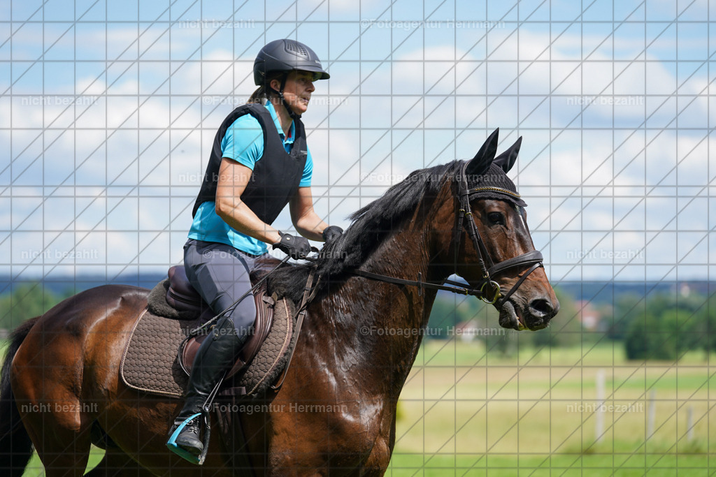 20240622-FAH07628 | Turnierfotografen Bayern, Reitsportbilder aus dem Geländekurs mit Felix Etzel auf dem Gut Waitzacker 2024