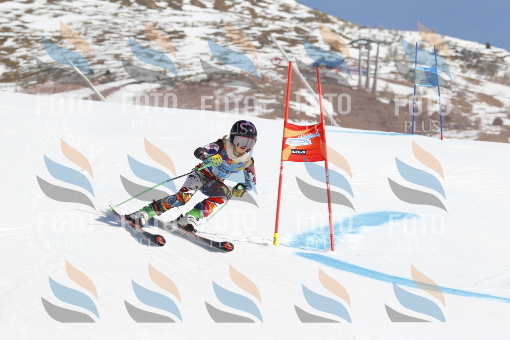 _U3G8784 | holidayphoto