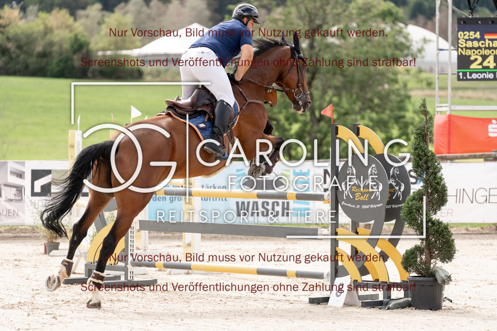 DSC06615 | Springturnier_Teamchallege_Talheim_2026, Sascha_Maschke, Napoleon_509