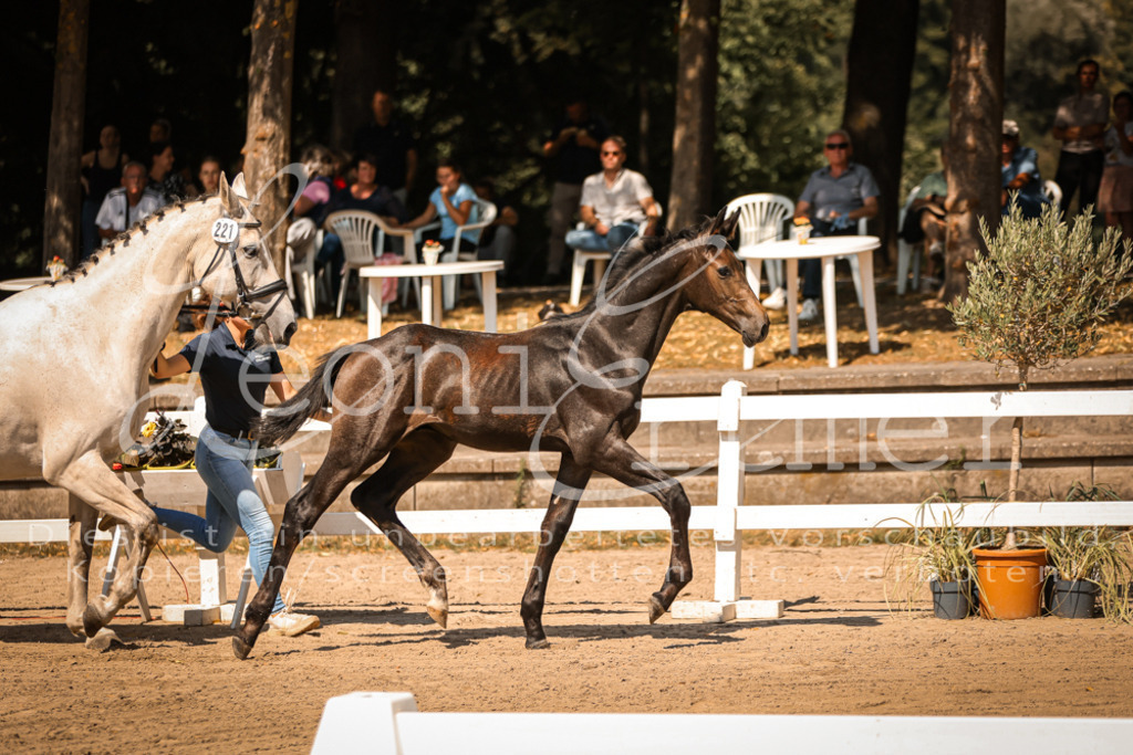 07.DoWBS00008 | Leoni Ertmer Photography - Realisiert mit Pictrs.com