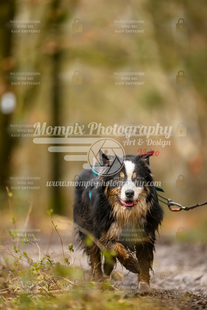 MompixPhotography_CDSM24_SA_CCL-231 | PayLife