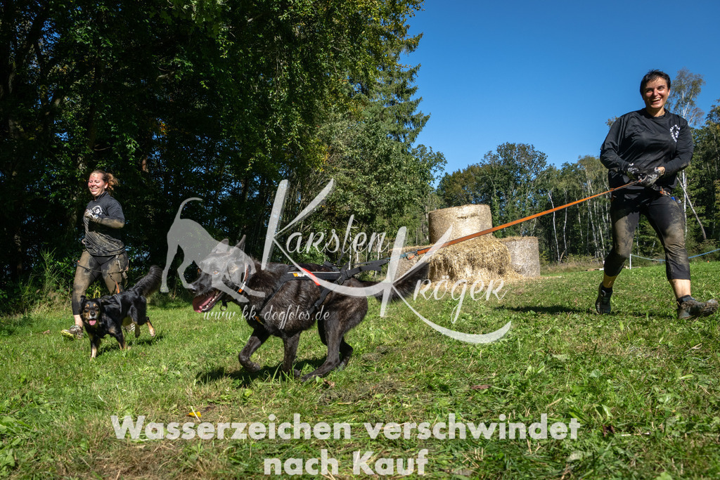 1238_ZZ91918-2 | kk-dogfotos