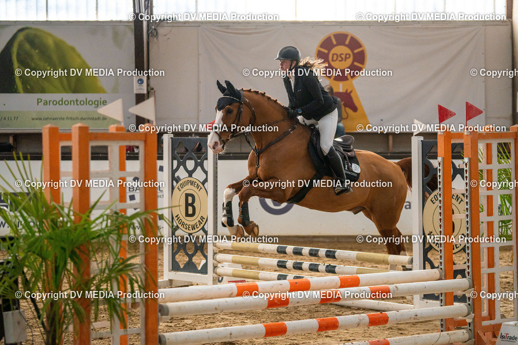 Kranichstein Tag 2-0847 | dv-media-shop - Realisiert mit Pictrs.com