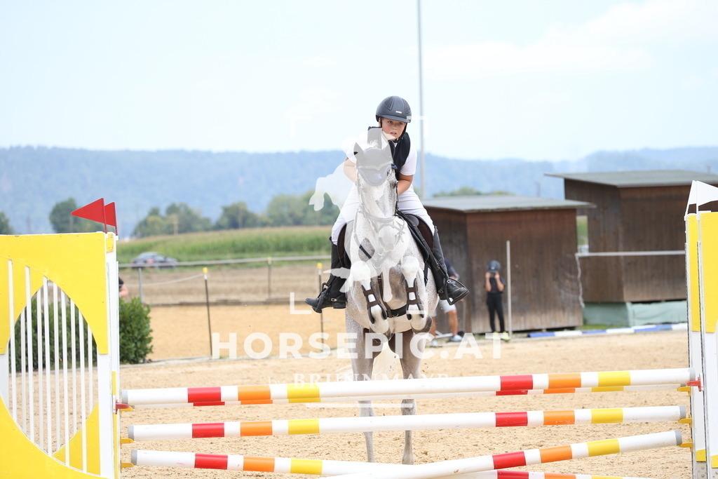 DL2Q3828 | Willkommen bei Brunnmayr - Design & Fotografie – Ihrem Spezialisten für Reitturniere und Pferdeveranstaltungen in Oberösterreich, Salzburg und Bayern! Seit über 17 Jahren sind wir leidenschaftlich dabei.