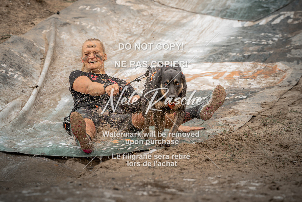 nelerasche_sa1230-1300_348 | nelerasche