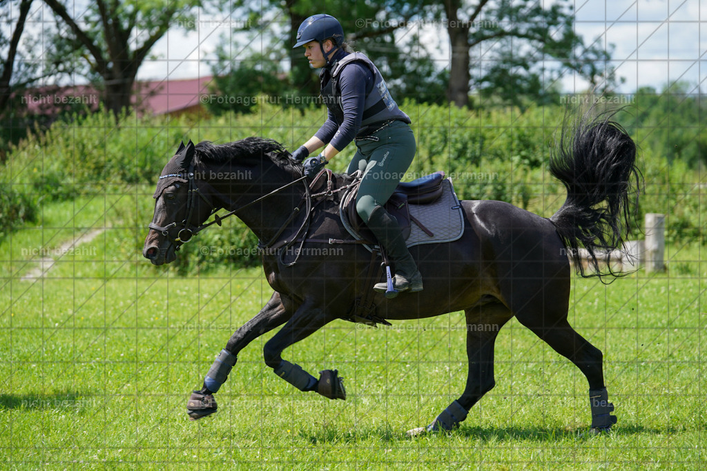 20240622-FAH06865 | Turnierfotografen Bayern, Reitsportbilder aus dem Geländekurs mit Felix Etzel auf dem Gut Waitzacker 2024