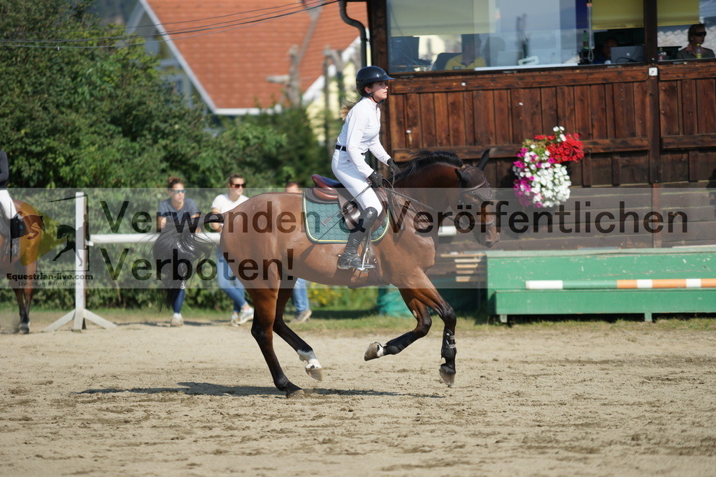 DSC02974 | equestrian-live-com