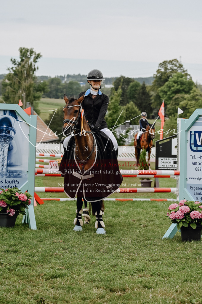 DSC_7091 | Pferde- und Turnierfotografie in Westsachsen. Pferdeportraits, Auftragszeichnungen und intuitive Kunst.