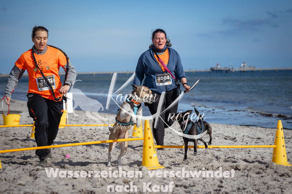 1340_ZZ92755 | kk-dogfotos