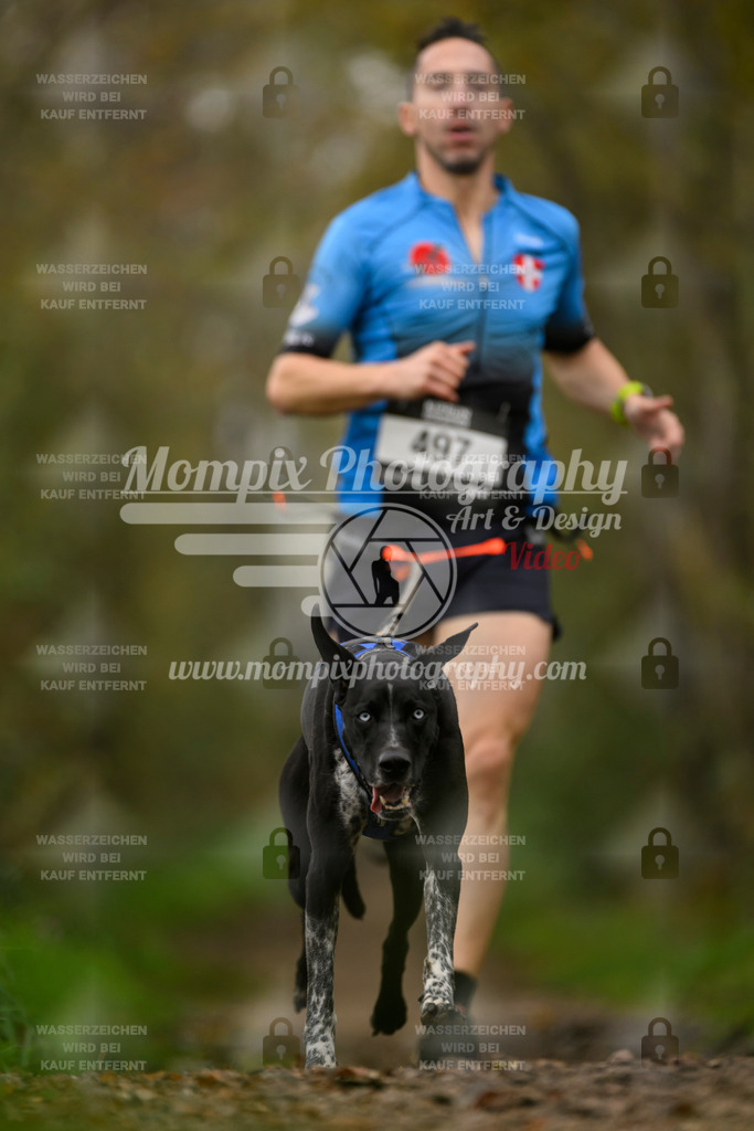 MompixPhotography_20TSB_E6_Run-45 | PayLife