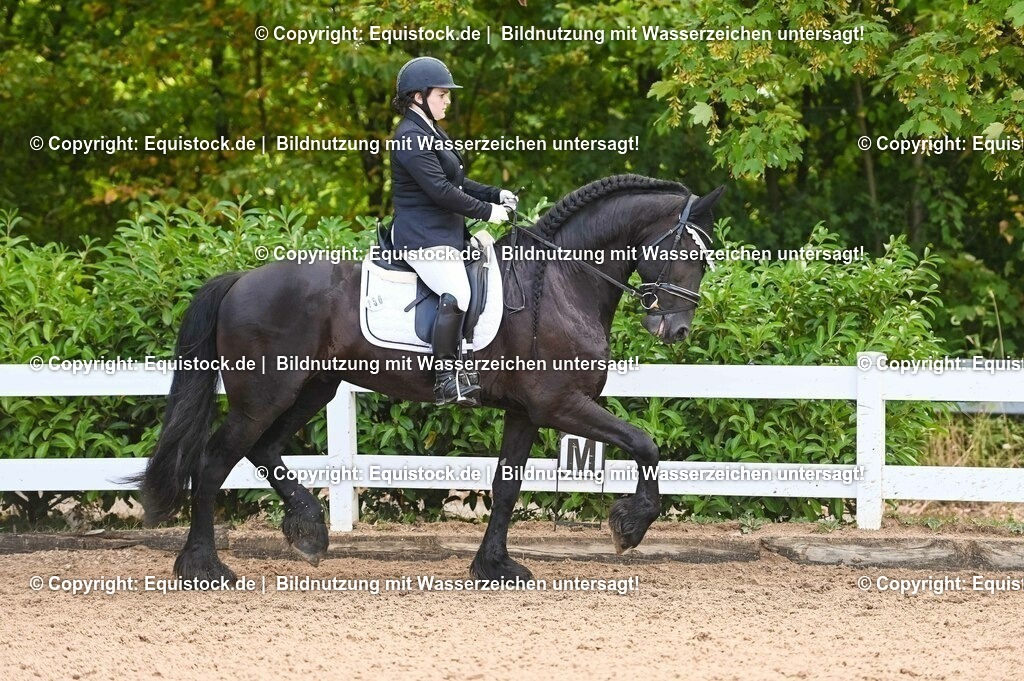 20230716_04_Dressurreiterprüfung Kl.A_0345 | equistock