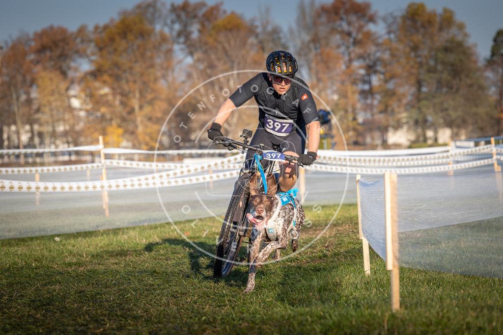 CaniXpix_0L8A3904 | Hundefotografie, Tierfotograf, Pfotenfotografie, Fotoshooting Hund, Hunde Portrait, Hundesport, Hundeportraits, Heideshooting, Hunde, Sportfotograf, Hundefotograf, Turnierhundsport, THS,  - Realisiert mit Pictrs.com