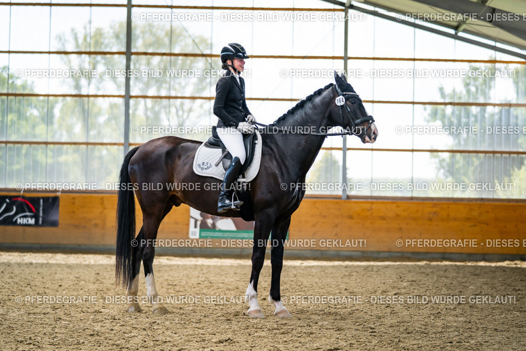 DSC06008 | Pferdegrafie