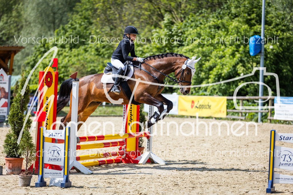 Donop24-SprRW-037 | MomenTaufnahmen Pferdesportfotos