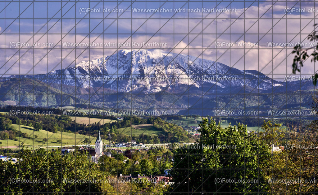 ALP4504_Wieselburg-weisser Oetscher | (C)FotoLois.com, Alois Spandl. WIESELBURG im Frühling, Fr 26. April 2024.