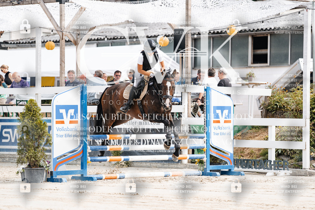 CK908854 | Turnierfotografie Pferdefotografie Trier Rheinland-Pfalz Pferdesport Reitsport Tierfotografie Sportfotografie Pferdevideo Pferdevideografie Equestrianvideography equestrianphotography  - Realisiert mit Pictrs.com