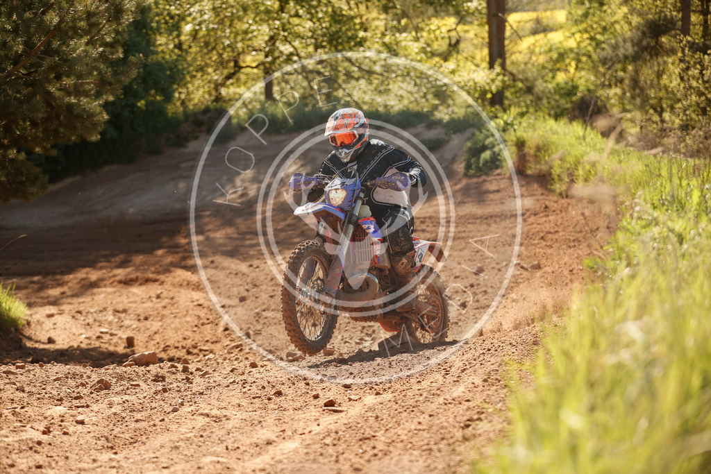 RottlebenIGE25_Lauf3-598 | koppe-media