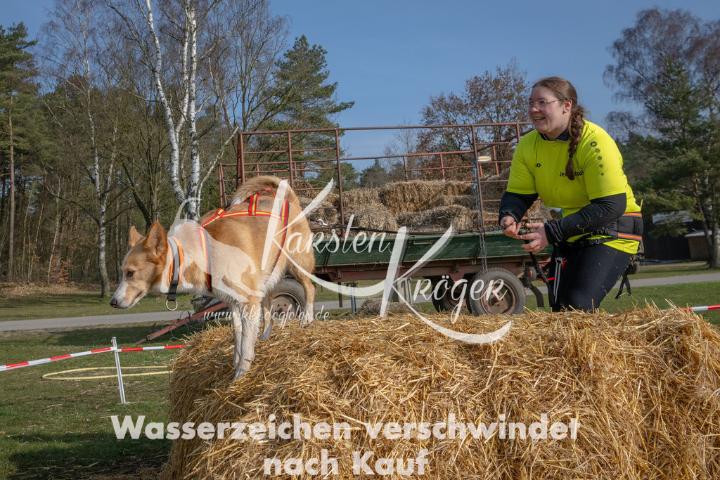 _ZZ90282 | kk-dogfotos