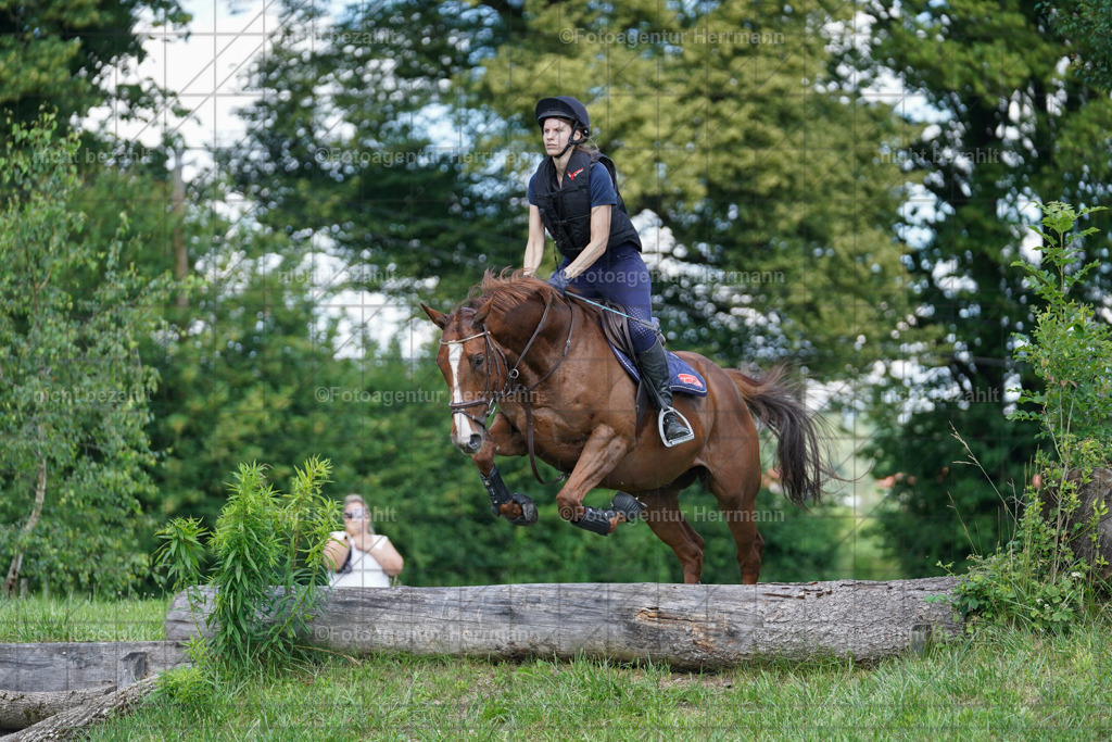 20240622-FAH07057 | Turnierfotografen Bayern, Reitsportbilder aus dem Geländekurs mit Felix Etzel auf dem Gut Waitzacker 2024